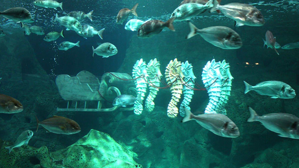 Hersonissos Aquarium, Creteaquarium, 2000 sea animals