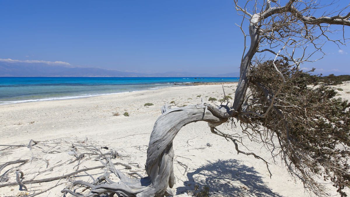 Ierapetra Chrissi island, Gaidouronisi, Golden beach Crete, Natura 2000 Crete